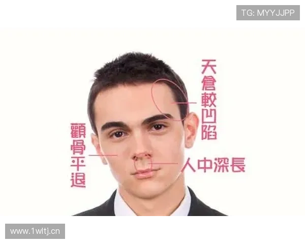 从面相看企业家成功之道揭示领导气质与财富潜能密码 从面相看企业家成功之道揭示领导气质与财富潜能密码