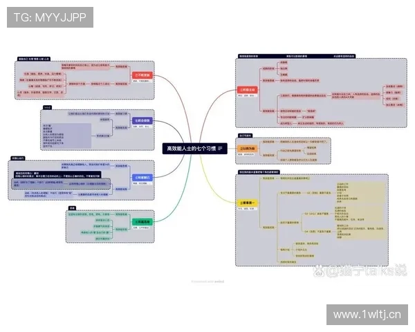 企业家如何平衡事业与健康打造高效能人生的成功之道